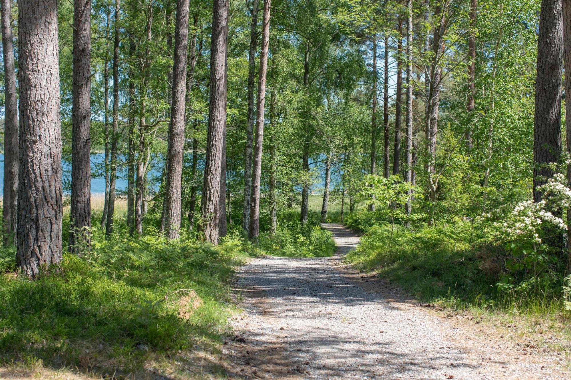 Bergs Gard & Hallsvikens Gard Västerljung 外观 照片